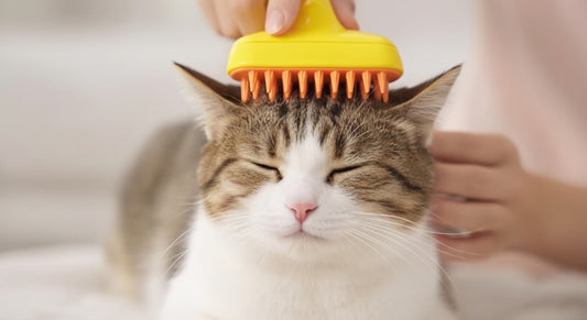 Cepillo a Vapor para Mascotas 🐶🐱 Limpieza y Suavidad para tu Mascota